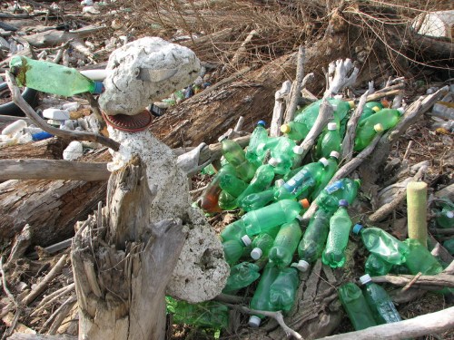 Thirsty for Green, side view Thirsty for Green, side view