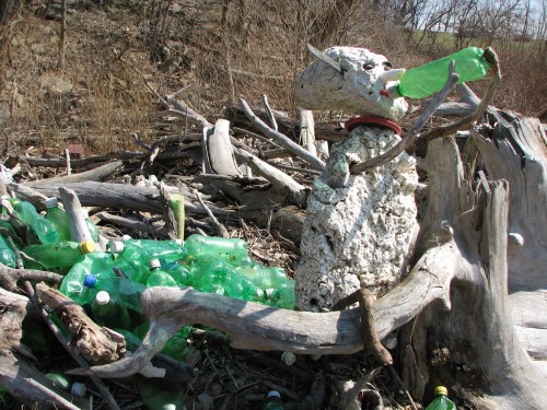 Thirsty for Green, alternate view Thirsty for Green, alternate view