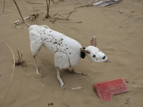 Styro hound on site, 4/09