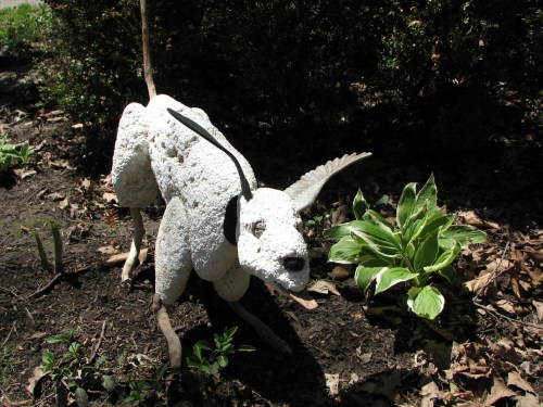 revamped Styrodog at home,4/09