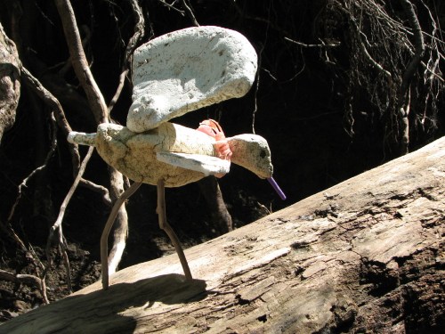 Falls Brush Fowl, 5/09