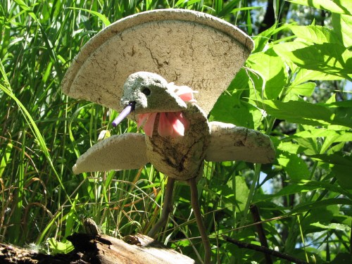 Falls Brush Fowl, 5/09