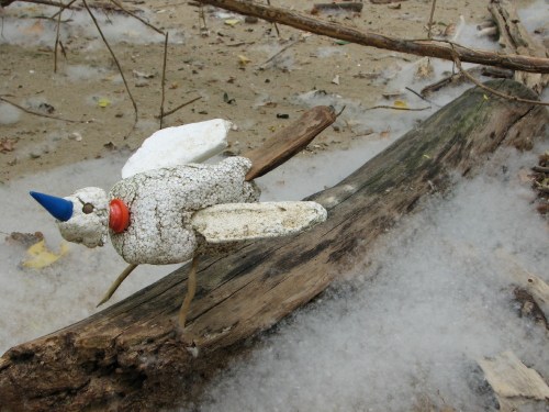 Orange-collared Thickbill and fluff, 5/09