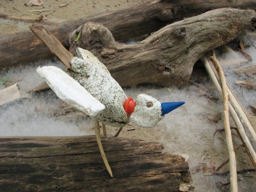 Orange-collared Thickbill, 5/09