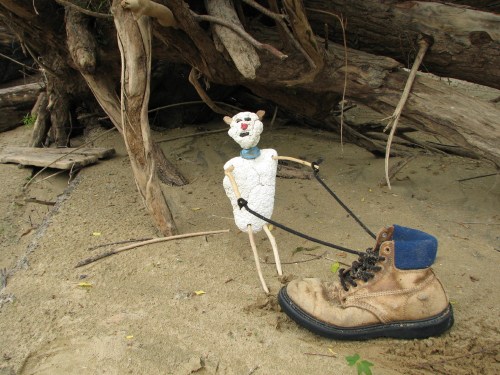 little guy pulling shoe, 5/09