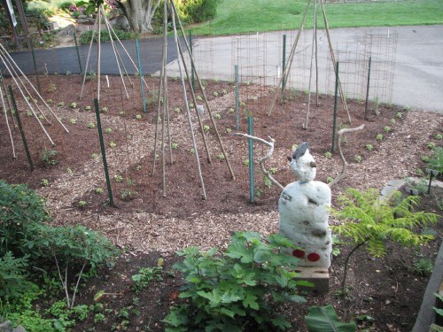 Falls Scarecrow in Kitchen Garden, 5/09