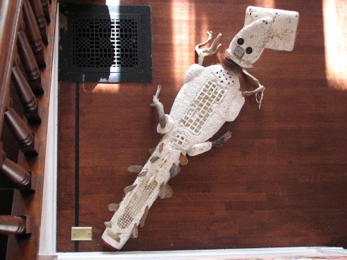 Kingsolver's Crocodile, topview