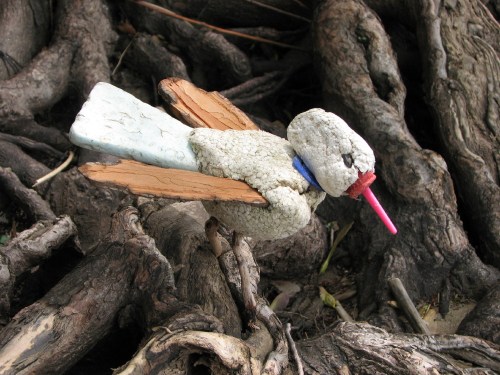 Wood-winged Styro-bird, 5/08