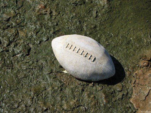 small, plastic football