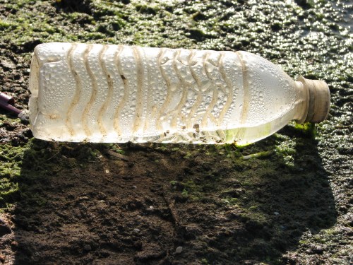 Clear plastic bottle