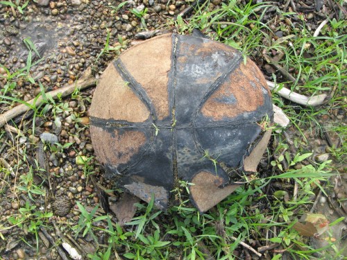 decomposing basketball, 6/09