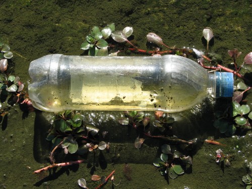 Clear plastic bottle 2