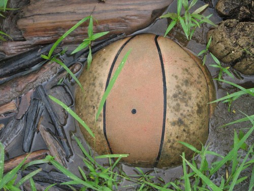 juicy basketball, 6/09