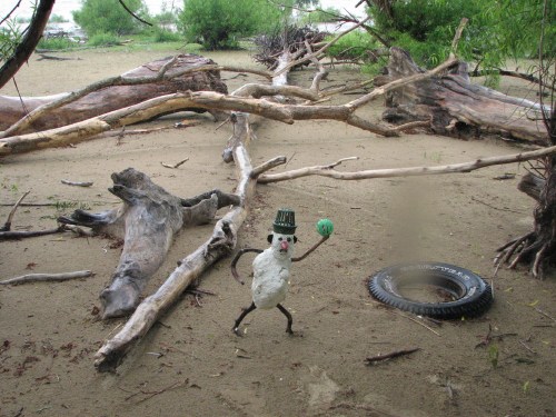 The King's game, 6/09 The King's game, 6/09