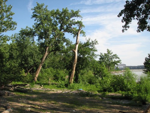 Falls landscape, 6/09