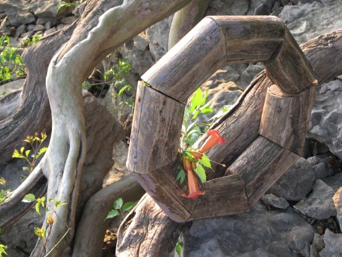 wood wreath with trumpet vine, 6/09