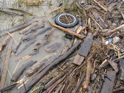 Tire and driftwood