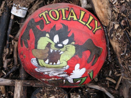 Tasmanian Devil ball