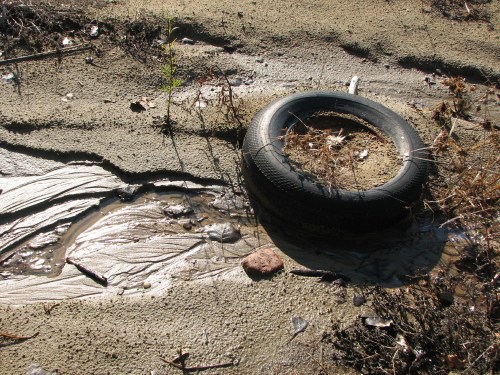 Discarded tire