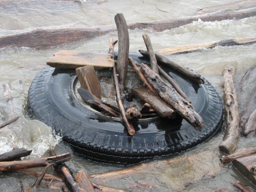 floating tire and sticks, 6/09