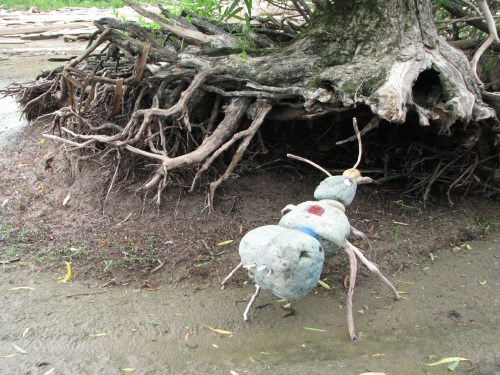 blue ant and willow roots, 7/09