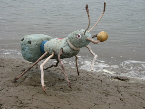 Giant Blue Ant w/egg, 7/09