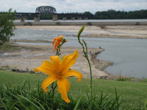 Day lilies and fossil beds, 7/09