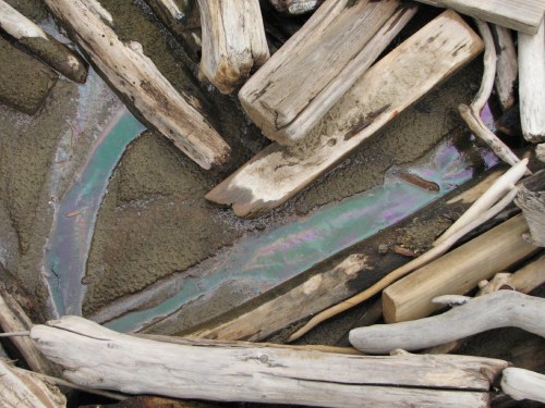 driftwood and inridescent water, 7/09