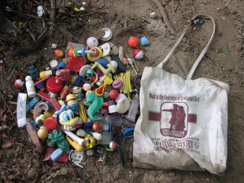 Lewis and Clark Collecting bag and contents, 7/09