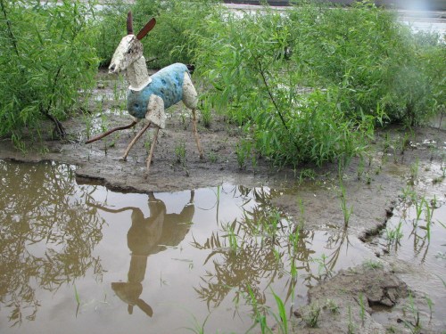 Rain Deer at water hole, 7/09