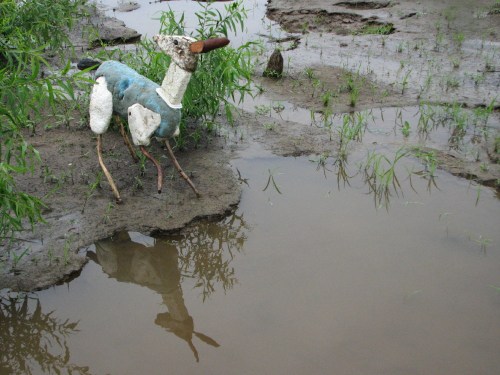 Rain Deer at waterhole, 7/09