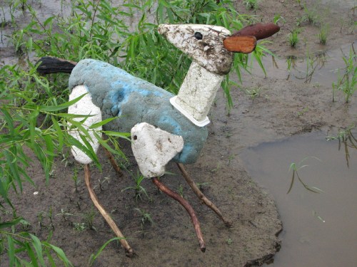 Rain Deer looking back, 7/09