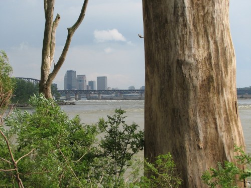 Louisville cityscape from the Falls, 6/08