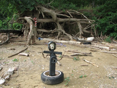 Black Jack in situ, 6/08