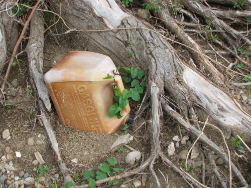 gas can partially buried near tree root