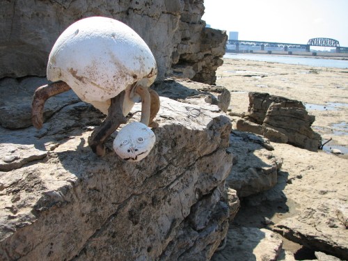 Styro-turtle on fossil rocks Styro-turtle on fossil rocks
