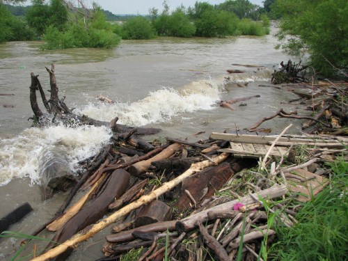high Ohio River, 8/09