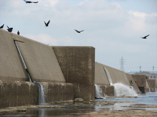 Fixed Wier Dam, 8/09 Fixed Wier Dam, 8/09