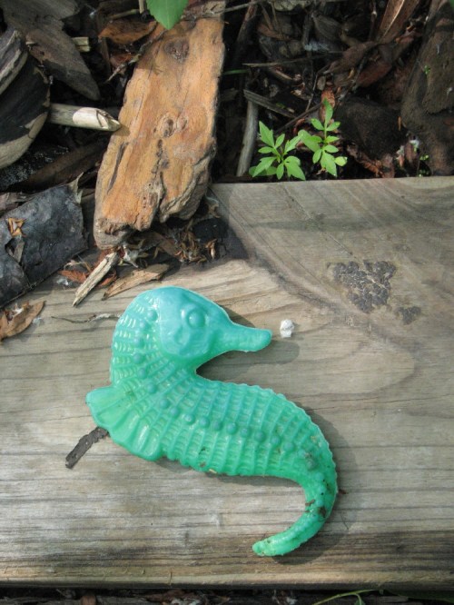 green plastic seahorse