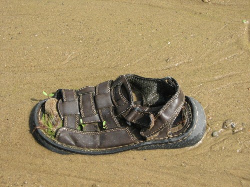 sandal in the sand