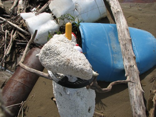 Watchful Willie, top view, 10/09