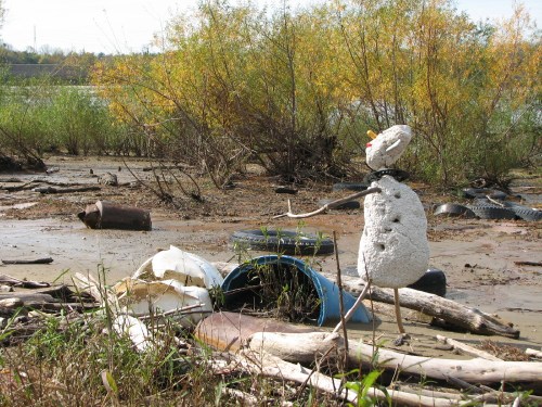 Watchful Willie in the landscape, 10/09