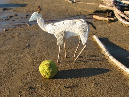 Little Deer with Osage Orange, 11/09 Little Deer with Osage Orange, 11/09