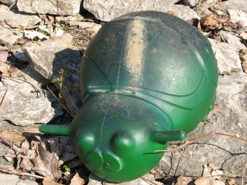 green bouncy toy?, 11/09