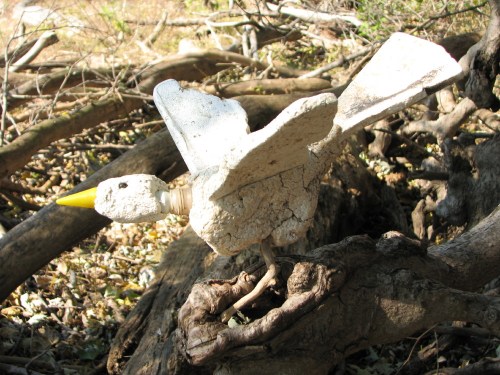 Styro-Grackle display, 11/09