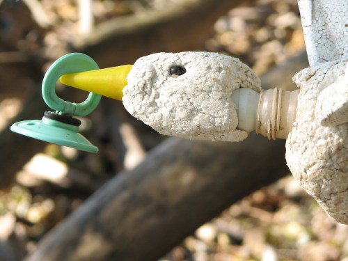 Styro-Grackle head with pacifier, 11/09