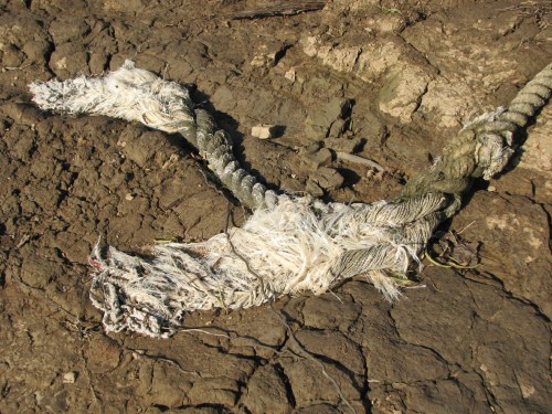 frayed barge rope or cable, 11/09