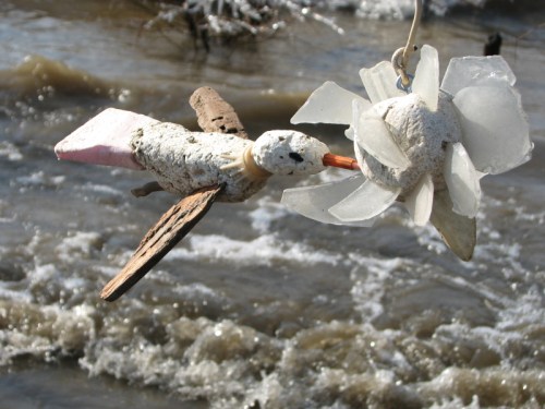 Arctic Hummingbird feeding, 1/2010