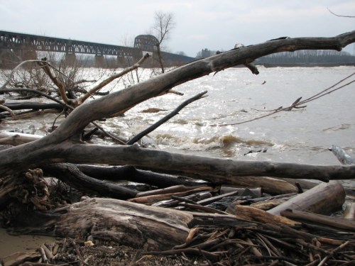 High water at the Falls, 1/2010