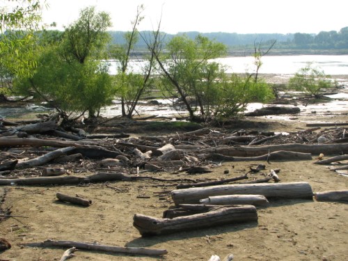 Late afternoon Falls landscape, 7/2010